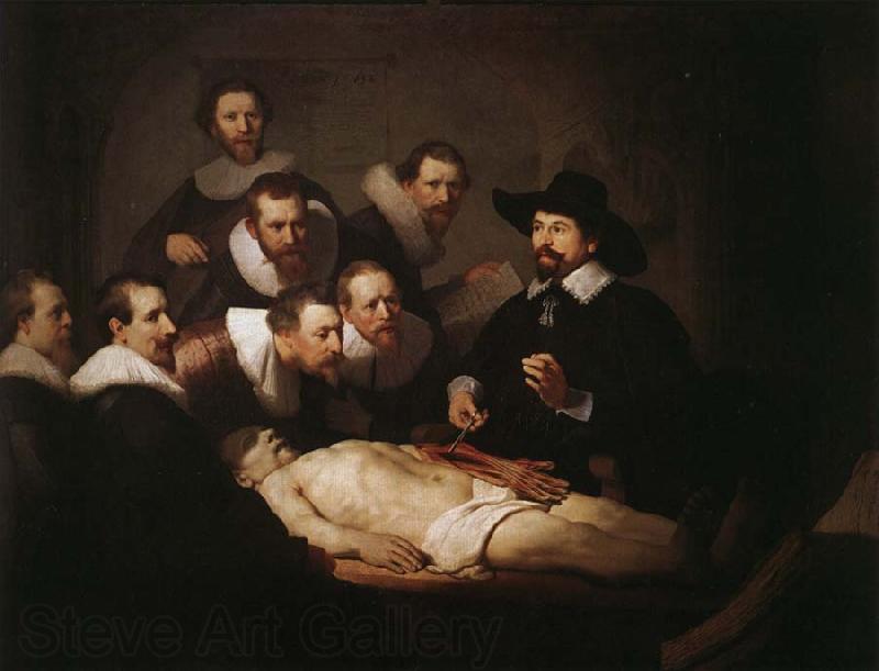 Rembrandt van rijn The Anatomy Lesson of Dr.Nicolaes Tulp Germany oil painting art